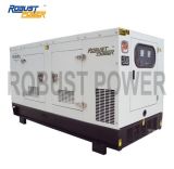Perkins Diesel Generator (RD)