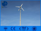 China 20kw Wind Turbine with Cheaper Price
