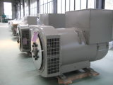 Machine Manufacturing Generator to Alternator 250kw (JDG314ESS)