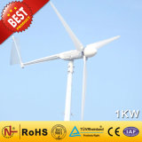 1kw High Efficiency CE Approved New Brushless Wind Generator