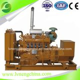 CE ISO Stanford Alternator Best Natural Gas Generator Price