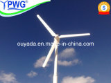 Residential Wind Turbine-Renewable Energy