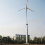 Wind Electric Generator 30kw Power Set