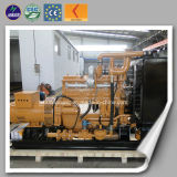 Biomass Gasification Power Plant Used Renewable Energy Green Power Biomass Electric Power Generator
