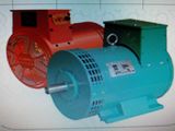 Stw3kw~15kw Single Phase Brushless a. C. Sychronous Alternator