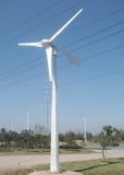 300W Wind Turbine Best Quality