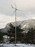 500W Wind Turbine (ZH)