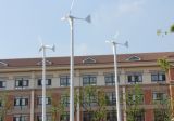 1000W High Efficiency Horizontal Wind Generator (100W-20KW)