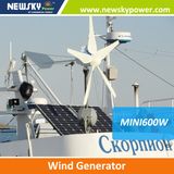 China Supplier Alternative Energy Wind Generator