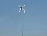 Wind Generator (ZFD AEOLUS 300W)