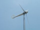 Wind Generator/Turbine (C-500W)