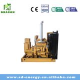 50Hz/60Hz Water Cooled Wood Gas Generator Set with Cummins Engine From 20kw to 1100kw