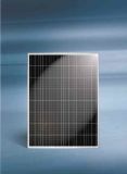 175-190W Polycrystal Solar Module (EA175-190-48P)