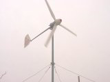 Wind Turbine (ldw300)