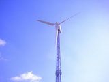 Pitch Controlled 50kw Wind Turbine Generator with CE (MSFD-50KW)