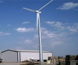20kw Wind Turbine Windmill