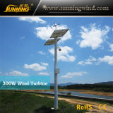 0.3kw Mini Monitoring Turbine Wind Generator Price