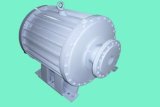 Horizontal Wind Permanent Magnet Generator/ Alternator (2kw)