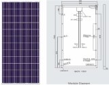 240W Poly Solar PV Modules (BR-P240W)