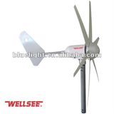 400W Wind Turbine Generator Small Generating System CE RoHS Ws-Wt400 6 Leaves Horizontal Wind Generator Vertical Generator