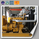 CE Approved Manufactur Price Biogass Gas Generator