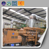 10-1000kw CE ISO Best Price Biogas Generator