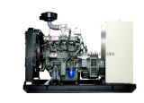 30kw Natural Gas Generator Set (YF30GF-NG)