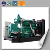 Rice Husk Wood Chips Green Energy 10-100kw Biomass Gas Generator Manufacture Price with CE ISO Approved