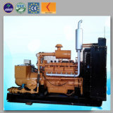 250kw Biogas Generator / Natural Gas Generator / Power Generating Set Lvhuan Power