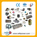 Weichai Steyr Diesel Engine Spare Parts