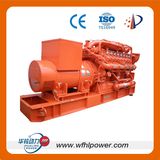 800kw Gas Generator