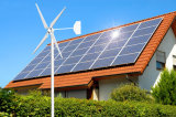 Wind Generator with Solar Panel Hybrid System