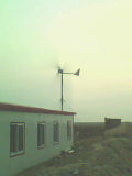 Wind Mill,Wind Turbine,Wind Generator (FD2000W)