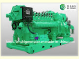 CNG Electric Generator Set (700KW)