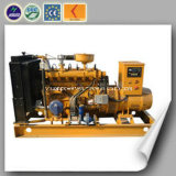Mini Power Plant Efficiency Natural Gas Generator for Sale