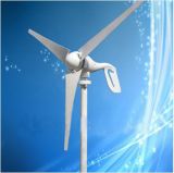 600W Wind Generator with CE Certificate (100W-20KW)