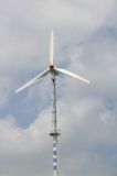 20kw Wind Turbine Generator (FD12-20KW)