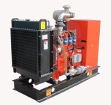 24kw Gas Generator with CE and ISO Approved (KDGH24-G)