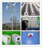 3000W Wind Turbine Generator With CE Certificate