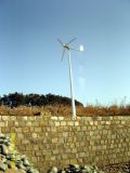 Wind Mill 2kw