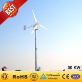 Big Wind Power Generator/Wind Turbine (30kw)