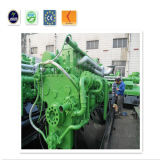 Biogas Plant Power Generator Set Biogas Gas Fired Steam Generator
