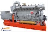 20kw-1000kw H Series Natural Gas Generator (1000GF1-RT)