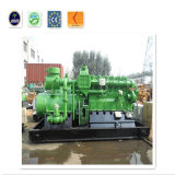 1000 Kw Electric Power Plant Natural Gas Generator Set