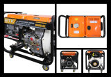 Diesel Welder Generator with Reliable Quality Engine (White Fan Case)