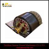 Copper Wire China Portable Generator Electrical Motor