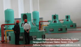Vertical Type Hydropower Generating Sets