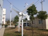 600W Horizontal Axis Wind Generator with Competitive Price (100W-20kw)
