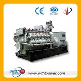 25-800kw Biogas Generator (HL)