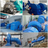 Hydro Power Plant / Small Hydropower Station / Water Turbine Generator